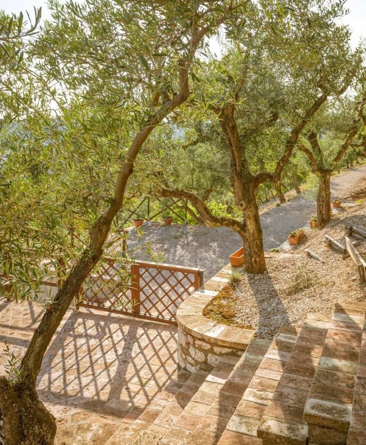 Umbrian Cottage Gubbio Eksteriør bilde
